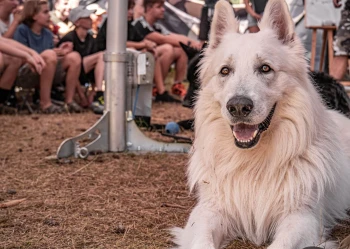 SULEJÓW 2024 - turnus 1 (13-15 lat)