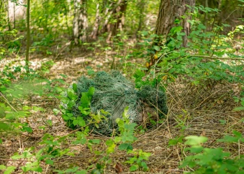 Sulejów 2025 - Turnus 2 (10-12lat)