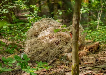 Sulejów 2025 - Turnus 2 (10-12lat)