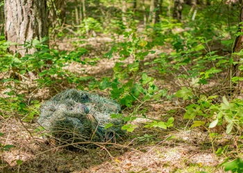 Sulejów 2025 - Turnus 2 (10-12lat)