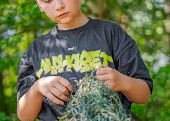 Sulejów 2025 - Turnus 2 (10-12lat)