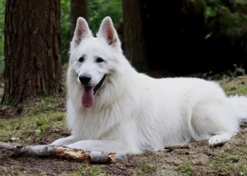 SULEJÓW 2024 - turnus 2 (13-15 lat)